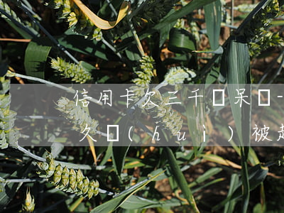 信用卡欠三千變呆賬-欠信用卡3000多久會(huì)被起訴