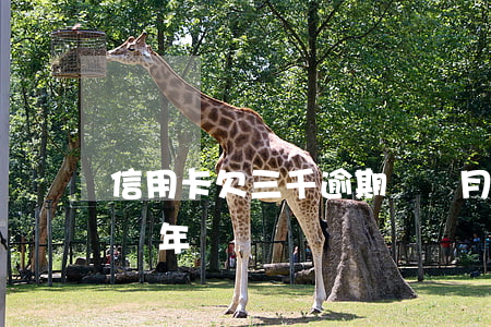 信用卡欠三千逾期兩個月(信用卡欠三萬逾期兩年)
