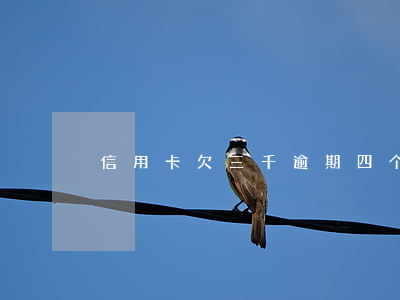 信用卡欠三千逾期四个月