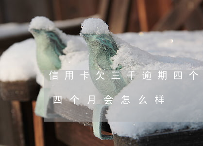 信用卡欠三千逾期四个月(信用卡欠三千逾期四个月会怎么样)