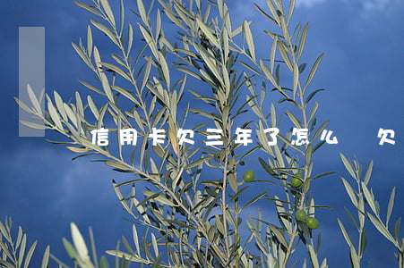 信用卡欠三年了怎么辦(欠銀行信用卡三年了)