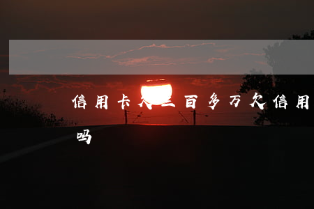 信用卡欠三百多万 欠信用卡3200能立案吗