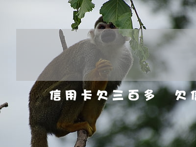 信用卡欠三百多萬 欠信用卡3200能立案嗎