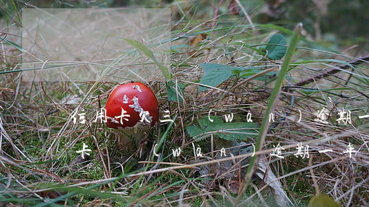 信用卡欠三萬(wàn)逾期一年-欠信用卡兩萬(wàn)逾期一年多的后果