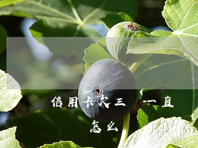 信用卡欠三萬一直沒還 信用卡欠三萬一直沒還會怎么樣