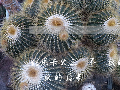 信用卡欠三萬不還款的后果(信用卡欠三萬不還款的后果)