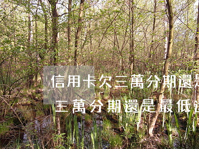 信用卡欠三萬分期還是最低還款-信用卡欠三萬分期還是最低還款利息高