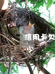 信用卡欠三萬利息多少(信用卡欠三萬利息多少錢)