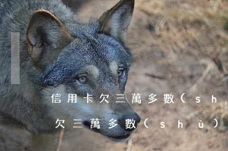 信用卡欠三萬多數(shù)額大么(信用卡欠三萬多數(shù)額大么)
