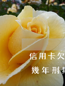信用卡欠三萬被判幾年-信用卡欠三萬被判幾年刑期