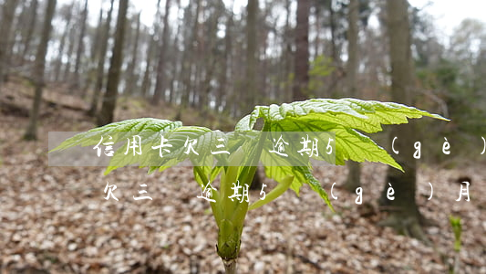 信用卡欠三萬逾期5個(gè)月-信用卡欠三萬逾期5個(gè)月會(huì)怎樣
