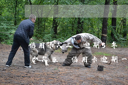 信用卡欠三萬逾期5年應(yīng)還多少(欠五萬信用卡逾期一年多少錢)