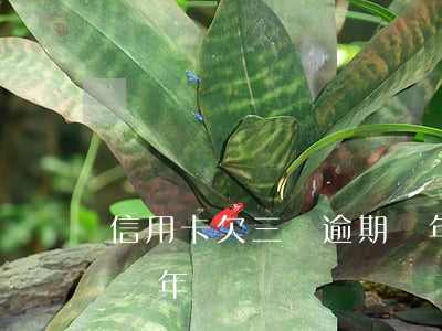 信用卡欠三萬逾期兩年了(信用卡欠3萬逾期兩年)