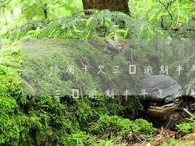 信用卡欠三萬逾期半年怎么解決-信用卡欠三萬逾期半年怎么解決呢