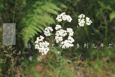 信用卡欠两万多判几年(欠信用卡2万多会坐牢吗)