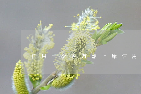 信用卡欠两万想上岸(信用卡欠两万想上岸)