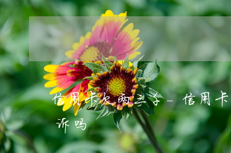 信用卡欠两三千-信用卡欠两三千银行会起诉吗