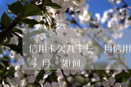 信用卡欠九千三個月(信用卡9000逾期三個月會如何?)