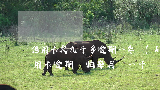 信用卡欠九千多逾期一年會(huì)(欠信用卡逾期別怕每月還一千)