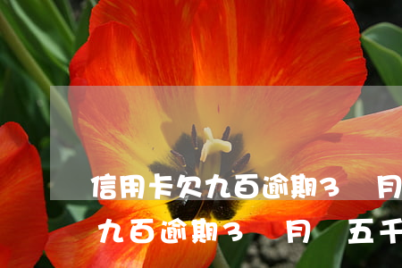 信用卡欠九百逾期3個月變五千-信用卡欠九百逾期3個月變五千了
