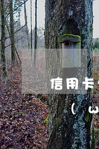 信用卡欠九萬(wàn)怎么辦 欠信用卡9萬(wàn)怎么辦