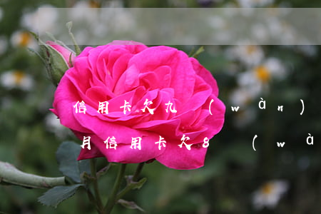 信用卡欠九萬(wàn)逾期兩個(gè)月(信用卡欠8萬(wàn)多逾期了三個(gè)月真要坐牢嗎)