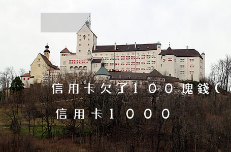 信用卡欠了100塊錢(qián)逾期(欠信用卡1000)