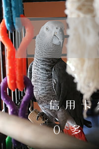 信用卡欠了100多萬逾期(信用卡欠了100多萬逾期五年)