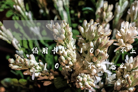 信用卡欠了10w還不上怎么辦-信用卡欠了10w還不上怎么辦呢