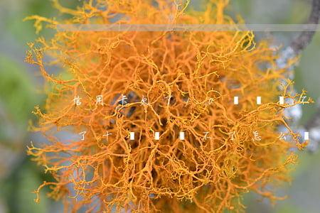 信用卡欠了10幾萬,還不起怎么辦(信用卡欠了十幾萬,還不了怎么辦)