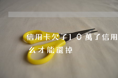 信用卡欠了10萬了(信用卡欠了10萬了怎么才能還掉)