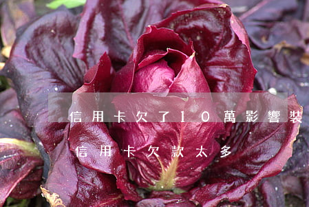 信用卡欠了10萬影響裝修貸嗎(申請裝修貸信用卡欠款太多)