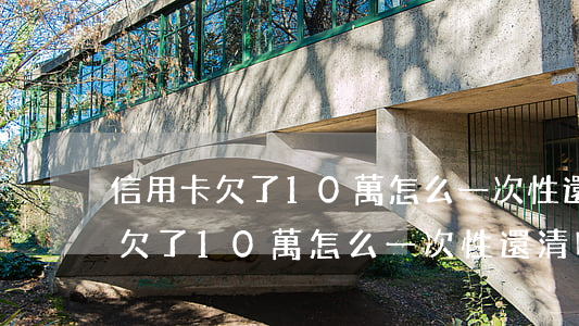 信用卡欠了10萬怎么一次性還清-信用卡欠了10萬怎么一次性還清呢