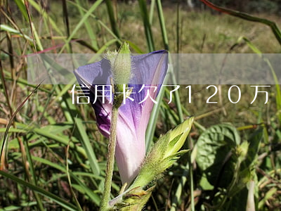 信用卡欠了120万