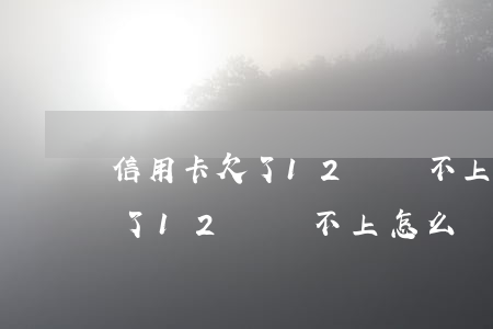 信用卡欠了12萬還不上怎么辦-信用卡欠了12萬還不上怎么辦呢