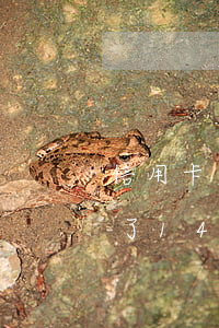 信用卡欠了14萬還不上怎么辦-信用卡欠了14萬還不上怎么辦呢