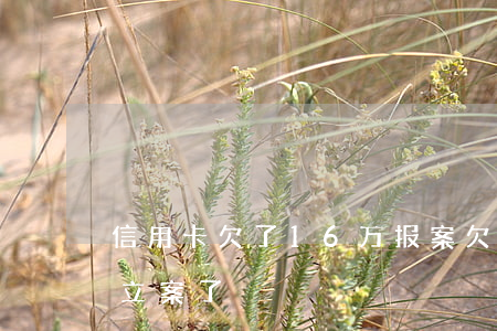信用卡欠了16万报案(欠信用卡15000立案了)
