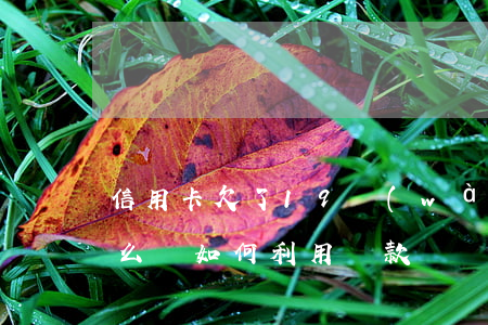 信用卡欠了19萬(wàn)想貸款還款怎么還，如何利用貸款償還19萬(wàn)信用卡債務(wù)？