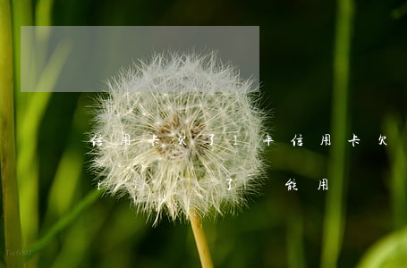 信用卡欠了1年(信用卡欠了1年多沒(méi)還,還了還能用嗎)