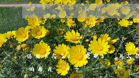 信用卡欠了1萬逾期8個月(欠信用卡逾期別怕每月還一千)