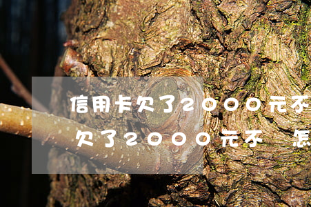 信用卡欠了2000元不還怎么辦-信用卡欠了2000元不還怎么辦呢