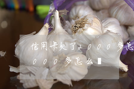 信用卡欠了2000多怎么辦(信用卡欠了2000多怎么辦)