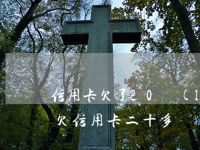 信用卡欠了20來(lái)萬(wàn)(欠信用卡二十多萬(wàn)的后果)