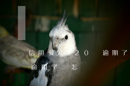 信用卡欠了20塊逾期了(信用卡欠了20塊逾期了會怎樣)