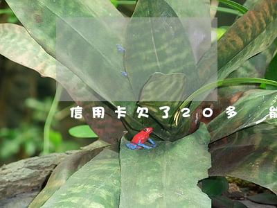 信用卡欠了20多萬能貸房貸嗎