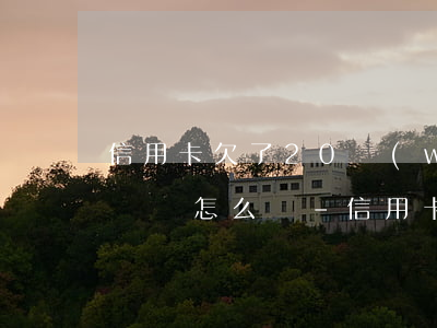 信用卡欠了20萬(wàn)無(wú)力償還怎么辦-信用卡欠了20萬(wàn)無(wú)力償還怎么辦呢