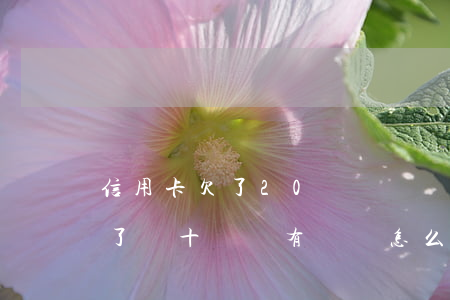 信用卡欠了20萬,沒錢還了怎么辦(信用卡欠了幾十萬沒有錢還怎么辦)