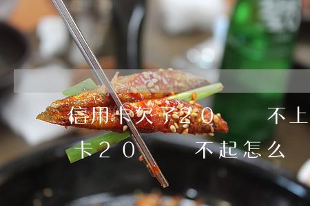 信用卡欠了20萬還不上了怎么辦-欠信用卡20萬還不起怎么辦