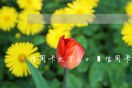 信用卡欠了24萬(信用卡欠了24萬)