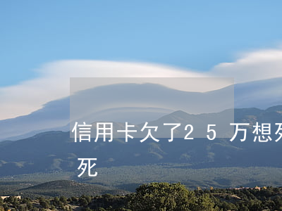 信用卡欠了25万想死 信用卡欠了25万想死